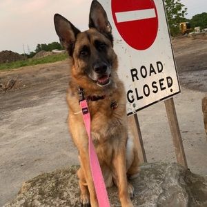 Meet your Posher, Taryn